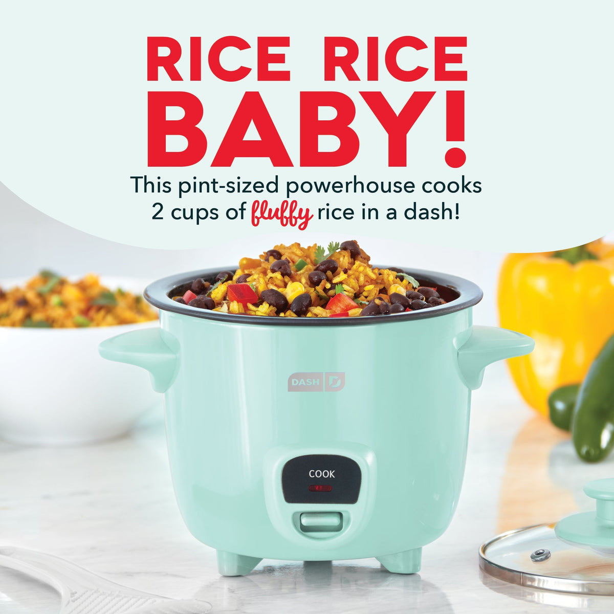 Compact Rice Cooker