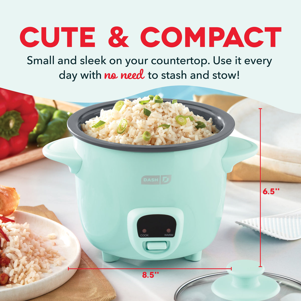 Mini Rice Cooker with Keep Warm
